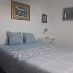 Casa Dragão *