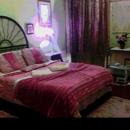 Casa Dragao Bed & Breakfast Porto